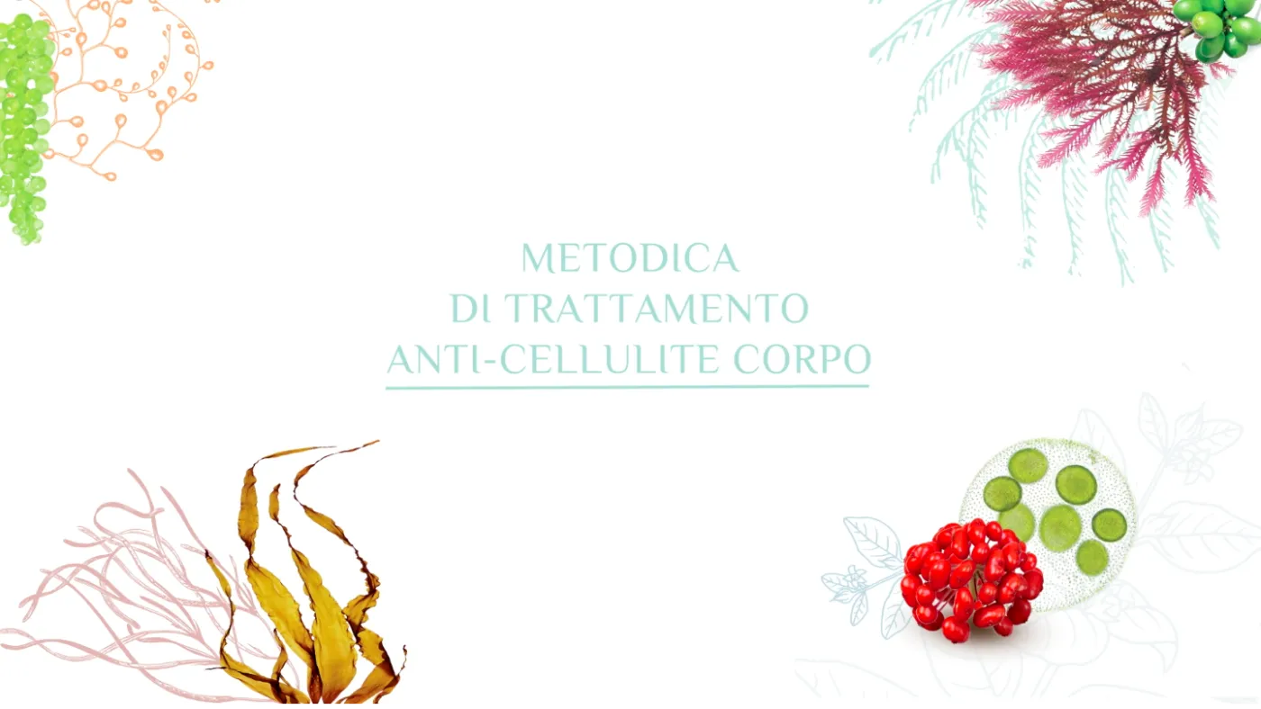 Trattamento anti-cellulite video