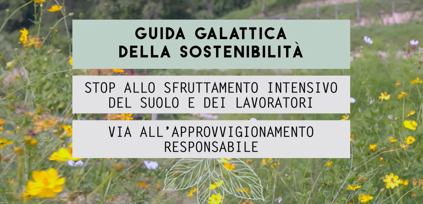 Stop allo Sfruttamento Intensivo