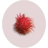 Rambutan