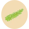 micro alga.png